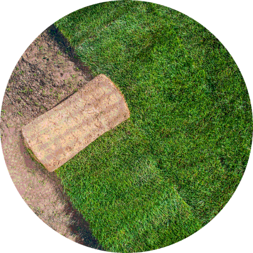 Natural Tendencies Landscaping Charleston SC Landscaping Maintenance