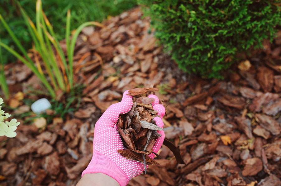 The Many Merits of Mulch: Reap the Rewards of Mulching your Yard and Garden