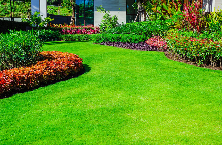 Five Ways to Help Your Grass Grow Lusher
