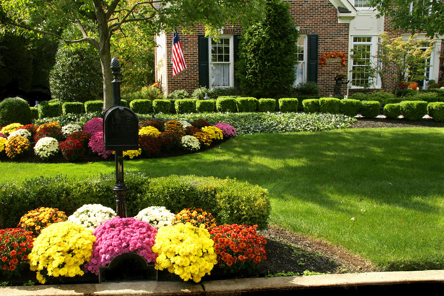 Showcase a Beautiful Fall Garden with Simple Landscaping Ideas