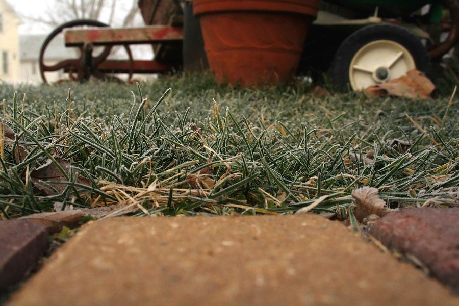 Prepare and Protect your Lawn and Landscape for the Winter