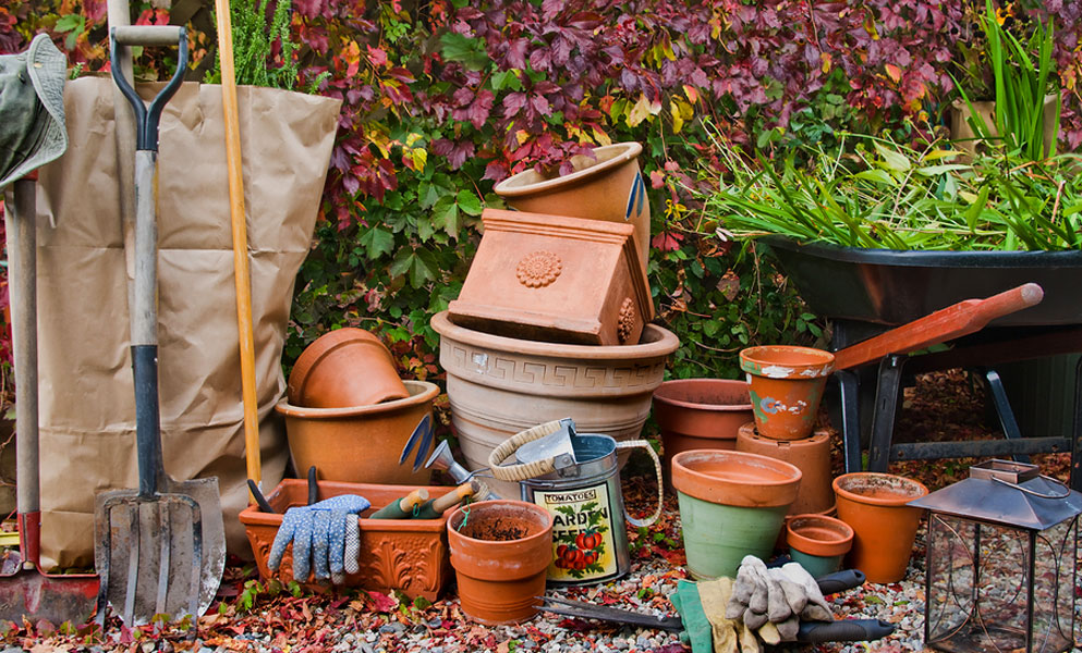 Prepare Now to Make the Most of Your Spring Gardening ﻿